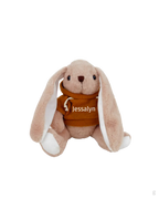 [Custom Name] Plushie Bunny Toy