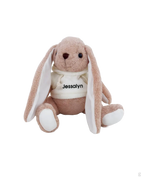 [Embroidery Name] Plushie Bunny Toy