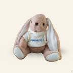 Psalms 112:7 Bunny Plush Toy