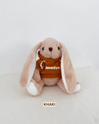 [Embroidery Name] Plushie Bunny Toy